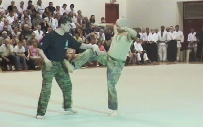 Vladimir Vasiliev at Aiki Expo 2003