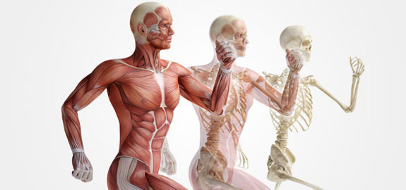 Photo credit - http://proactivephysicalhealth.co.uk