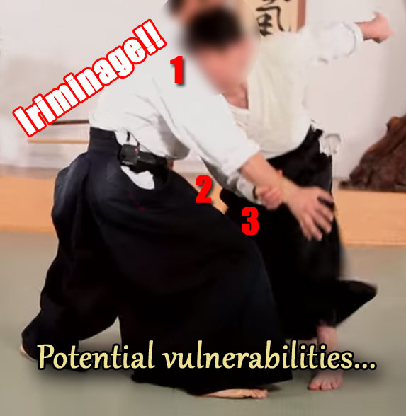 iriminage-vulnerabilities
