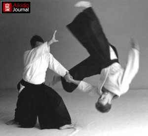 generic-aikido