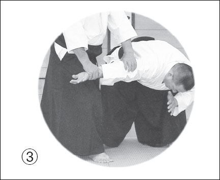 shomenuchi-ikkyo-take-down